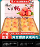 阳山水蜜桃 正宗无锡阳山水蜜桃 新鲜水果桃子 当季应季水果礼盒送礼 一级果4-5两12个礼盒装净重5斤多 实拍图
