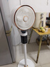 志高（CHIGO）空气循环扇电风扇【免联网语音】落地扇3D自动摇头遥控家用大风力轻音台地两用 氛围灯【加高加大-净化除醛-香薰盒】 实拍图