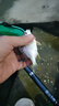 龙王恨鱼饵野战蓝鲫X5青春版腥香饵江河黑坑野钓鲫鲤草鳊鱼通杀钓鱼饵料 蓝鲫X5-腥香(300g/1包) 实拍图
