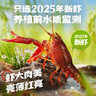 海底捞蒜蓉小龙虾3斤量贩装 2025年新虾3-5钱/只 净虾2斤整虾加热即食 实拍图