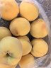 京鲜生 山东蒙阴黄金蜜桃 毛桃净重4.5斤单果140g+新鲜水果源头直发包邮 实拍图