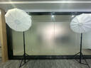 漾菲斯【100%好评】YS19专业直播补光灯常亮led摄影打光灯球形柔光灯箱600W大功率摄影主播美颜视频设备 实拍图