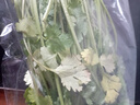带根香菜100g 实拍图