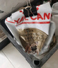 皇家狗粮 斗牛犬成犬狗粮 宠物中型犬 FBA26 全价犬粮 ≥12月 6.5KG 实拍图