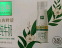 伊利金典3.8g乳蛋白 鲜活纯牛奶整箱 250ml*8瓶 30天常温短保 礼盒装 实拍图