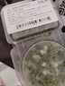【日日鲜】小葱香菜调味双拼40g 实拍图