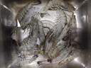 果勋海外进口鲜冻超大号黑虎虾净重1.4斤30-40只/盒海鲜大虾虾类水产 实拍图