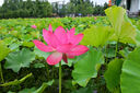 尼康（Nikon）Z5全画幅微单相机 微单套机（Z 24-50mm f/4-6.3 微单镜头）Vlog相机视频拍摄 实拍图