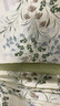 洁丽雅（Grace）100%纯棉四件套新疆棉床上用品床单被套200*230cm1.5/1.8米床 实拍图