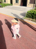 江博士夏季男女童舒适运动风宝宝学步鞋透气幼儿童鞋潮流海贝壳包头凉鞋 粉红 23 码脚长约13.7-14.3 实拍图