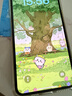 Apple 苹果 iPhone 15/14/13/12/X系列二手手机 颜色内存以质检报告为准A16 苹果 iPhone XS Max 实拍图