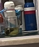 雅集耐热玻璃过滤加厚耐热茶杯玻璃水杯锤纹玻璃杯茶水分离杯泡茶杯 实拍图