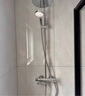 科勒（KOHLER）艾瑞恒温三出水淋浴柱家用花洒套餐K-30021T-ZV-CP 实拍图