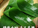 鲜窝窝 超大号粽叶100片 野生粽子叶宽粽叶新鲜箬叶端午节包粽子材料 实拍图