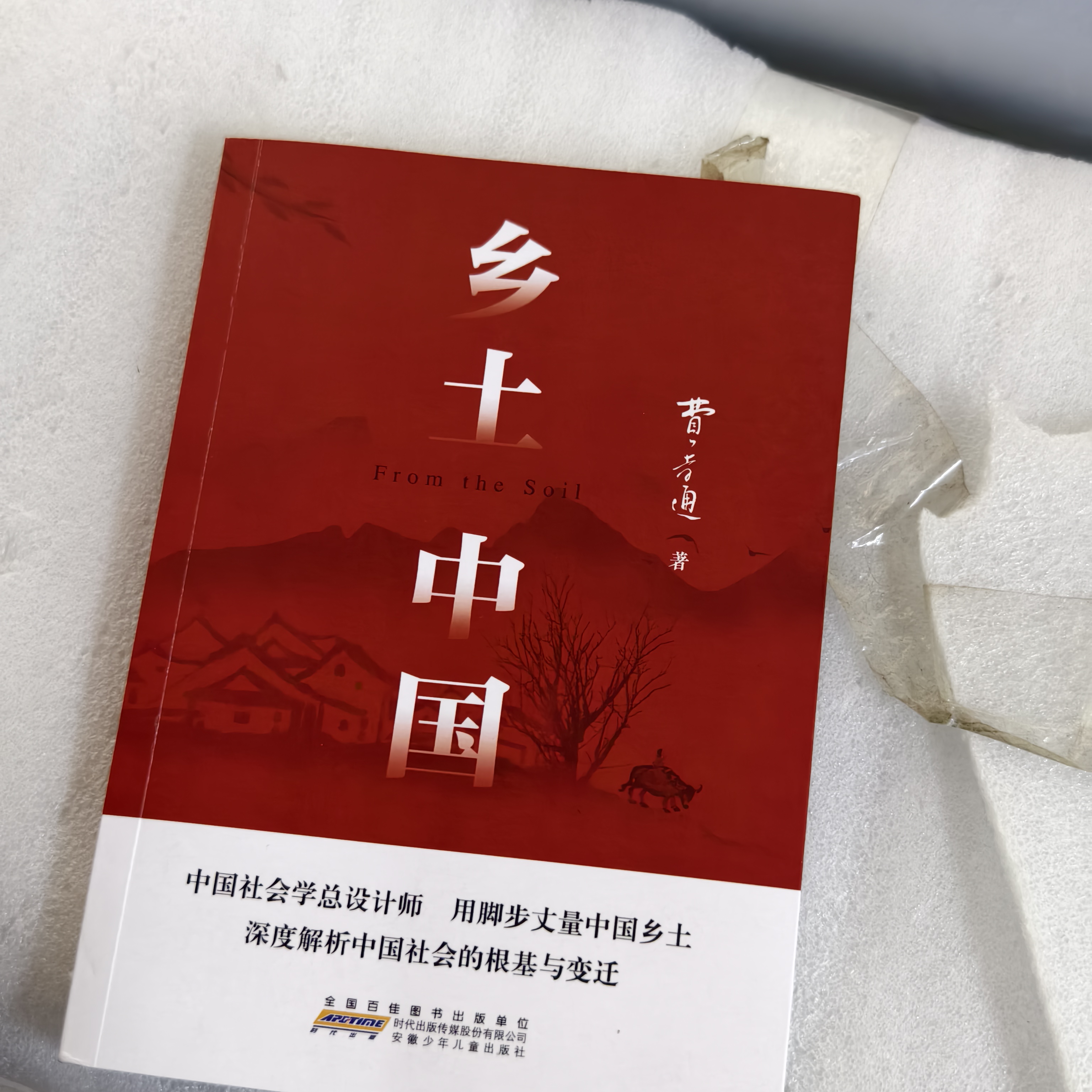 乡土中国高中必读正版费孝通高中生整本书阅读与检测和红楼梦原著高一上册课外书课外阅读书籍名著语文书目书店 乡土中国 送考点 实拍图