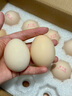 黄天鹅可生食鸡蛋30枚L级大蛋 单枚60g 早餐鸡蛋1.8kg/盒 礼盒 实拍图