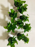 双盟 绿萝盆栽除甲醛花卉绿植办公室新房净化空气110款10盆装源头直发 实拍图