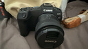 佳能（Canon）EOS R8 全画幅微单数码相机 RF24-50镜头套装（约2420万像素/小型轻量） 实拍图