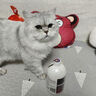 雪貂留香猫咪指甲剪专用狗狗指甲钳神器猫爪子宠物指甲剪刀 实拍图