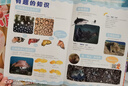 7-8月现货 小聪仔自然科普版杂志全年订阅送好礼 2~8岁幼儿益智科普 儿童智力开发增长知识 自然动物科普 半年/全年订阅2024年/2025年1月-6月/7月-12月任选杂志铺非过期刊 【下半年订阅 实拍图