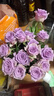 云南鲜花批发品质玫瑰百合水养鲜切花送女友水养鲜花源头直发 紫玫瑰-20支（花苞小不定品种） 【任选2件—不收运費】 实拍图