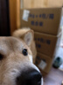 耐吉斯冻干生骨肉犬粮6kg成犬幼犬狗粮鸭肉梨【新旧版随机发货】 实拍图