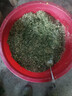 豫荥致富不锈钢碎菜机养殖喂鸡鸭鹅碎草机家用切草机粉碎机猪草碎草机桶式 304不锈钢碎菜机 2400W送4片刀片 实拍图