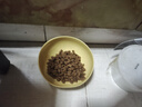艾尔猫粮  深海鱼 成猫 幼猫 通用全价猫粮 500g1斤 实拍图