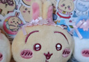 名创优品（MINISO）Chiikawa吉伊卡哇毛绒零钱包挂饰玩具玩偶挂件礼物女Usagi乌萨奇 实拍图