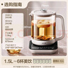 小熊（Bear）纯钛养生壶 煮茶壶煮茶器 炖煮一体烧水壶电热水壶 24H恒温 0胶水加大滤网 1.5L YSH-E15Z2 实拍图