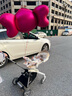 bebebus遛娃神器轻便可折叠双向可坐可躺高景观溜娃手推车婴儿车 实拍图