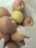 云南高山冰糖心丑苹果新鲜水果整箱礼盒脆甜多汁正宗丑苹果 5斤 特级大果（80-85） 实拍图