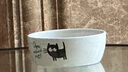 派乐特 猫碗猫咪陶瓷狗碗宠物碗食盆猫盆喝饮水陶瓷食具用品  白色-蓝字 实拍图