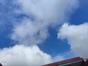 京东京造 净味空间祛味喷雾除异味空气清新剂除臭喷雾除烟味剂500ml 实拍图
