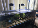 水医生硝化细菌鱼缸水族箱稳除氯气清澈剂净水分解粪便消化用品 鱼缸净水剂1000ml 实拍图