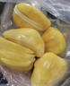 京逸海南菠萝蜜黄肉干苞新鲜水果当季木波罗蜜三亚特产8-35斤一整个 8-12斤【果肉少尝鲜可选】 实拍图