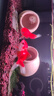【京东配送】【已售百万】丰年虾卵脱壳卵丰年虾虫鱼饲料鱼食虾 25g瓶装虾卵 实拍图