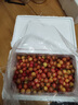 颜曼箐黄蜜樱桃车厘子 【JD/顺丰-送货上门】山东/大连大樱桃黄水晶 5斤(净重) A+级 品质果 实拍图