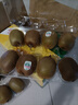 佳沛（zespri）绿奇异果经典果16粒礼盒单果约86-103g 水果 猕猴桃 实拍图