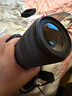 佳能（Canon）RF 100-400mm F5.6-8 IS USM 超远摄变焦镜头【滤镜防护套装】 实拍图