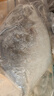环球水产 冷冻南海二去金鲳鱼900g2条 去鳃去脏 深海鱼生鲜鱼类  家庭聚餐 实拍图