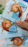 即食低脂虾仁50g*2袋  海味休闲零食解馋零食高蛋白小吃大连特产 实拍图