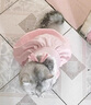 阿莫尔猫咪裙子夏季薄款猫咪衣服可爱粉色南瓜裙布偶蓝猫宠物狗狗公主裙 粉色 S 建议3-5斤  背长20cm 实拍图