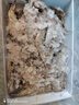 沃鲜汇 虾 厄瓜多尔白虾 大青虾 生鲜 虾类 海鲜水产 精选40/50规格 1.65kg(净重)  盐冻款【净重3.3斤 只只分离】 实拍图