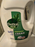 滴露（Dettol）衣物除菌液 松木3L 内衣儿童衣物杀菌除螨 衣服洗衣衣物消毒液 实拍图