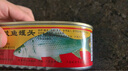 甘竹牌 豆豉鲮鱼罐头227g*2罐 海鲜罐头广东特产即食下饭酒菜预制菜 实拍图