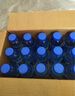 脉动双口味青柠桃子600ML*24瓶低糖维生素运动功能饮料必备宋雨琦同款 实拍图