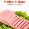 齐汇 东坡方肉 0.9斤450g 火腿肠香肠 方便食品 熟食腊味 早餐配餐 实拍图