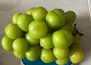 阳光葡萄青提晴王无籽葡萄新鲜水果爆甜 带箱5斤（单果15g+）净重4-4.5斤 实拍图