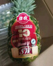 佳农 黑钻菠萝1粒装 菲律宾凤梨 净重2斤起 新鲜水果 源头直发 包邮 实拍图